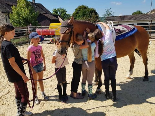 305214595_549281270327733_489231924137889369_n