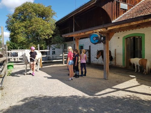 305243262_549280513661142_7465899154614791786_n