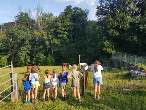 305246663_549282536994273_8454608390210562714_n