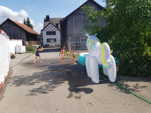 305250243_549260520329808_6148212559870348438_n