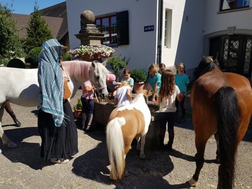 305250958_549275463661647_5097607386710976710_n