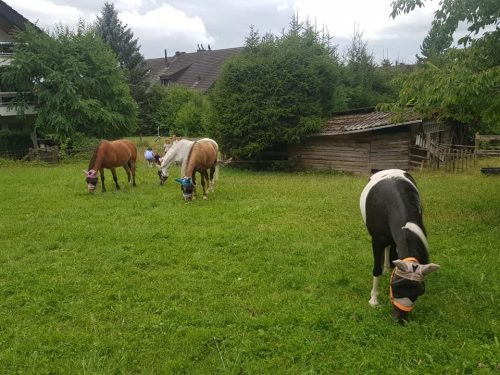 305258949_549260366996490_6645563725708832532_n