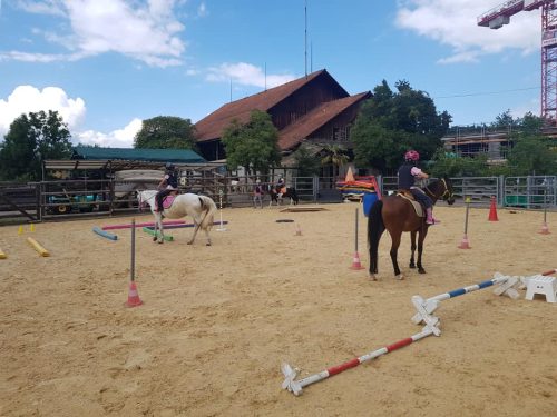 305275941_549260480329812_1562723134790517837_n