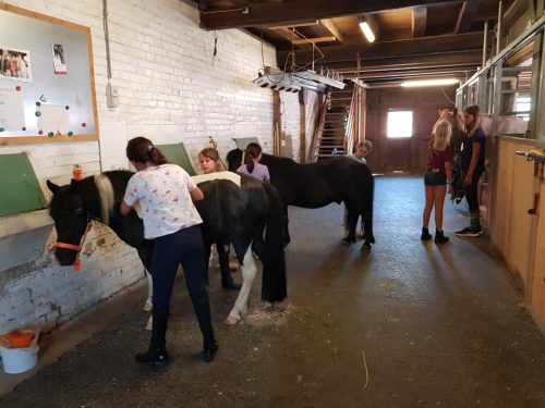 305288662_549269946995532_2041988821299273660_n