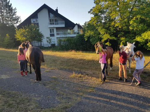 305289212_549272393661954_4260538285879104548_n