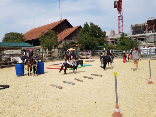 305302708_549283120327548_7194093635043317650_n