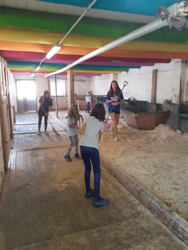 305303548_549280786994448_914845331316711816_n