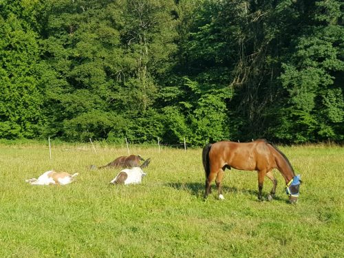 305314610_549282503660943_873127028484640325_n