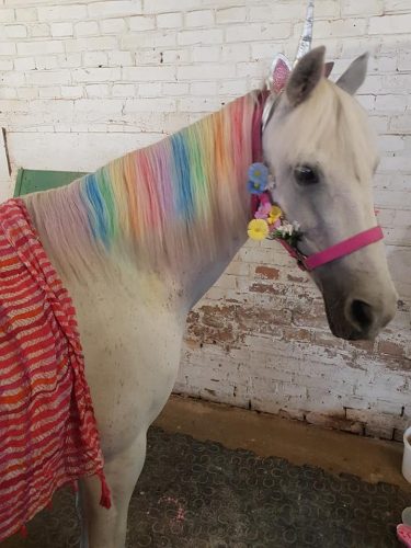 305320820_549259760329884_7066175432966870300_n