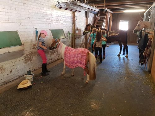 305352784_549274273661766_4034398705171898922_n