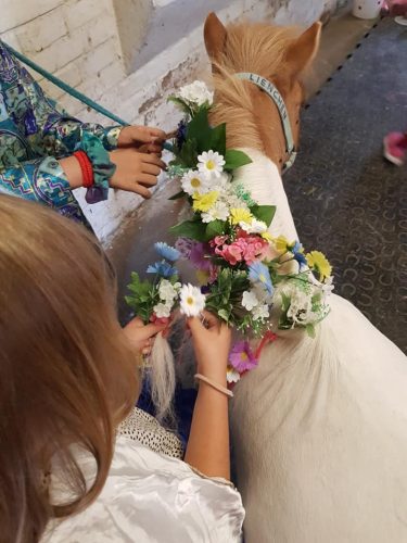 305359644_549259806996546_3852302479012397230_n