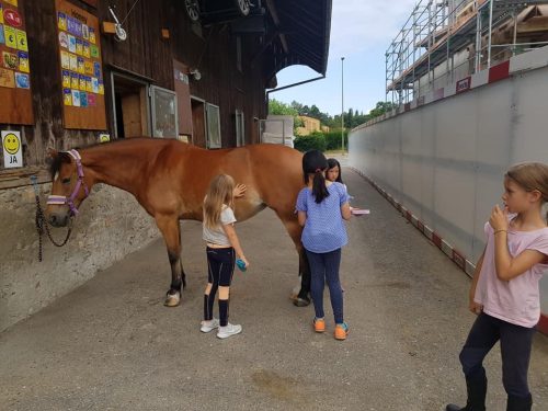 305391397_549260856996441_1331471898580415312_n