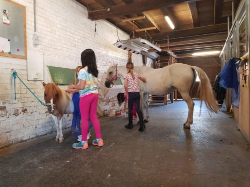 305430568_549261163663077_549886288953639653_n