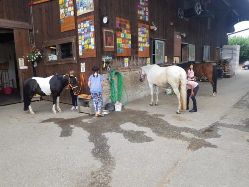 305533290_549260436996483_4325343325259101156_n