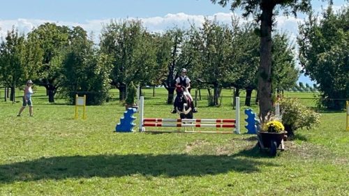 309641610_572546168001243_6022161535009317761_n