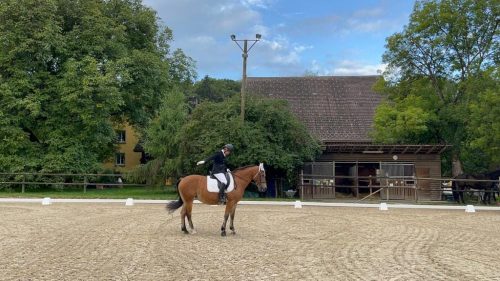 309805771_572547284667798_5877939111837279645_n