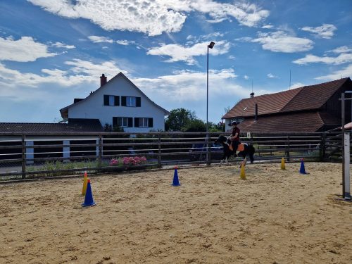 Gymkhana Heimturnier