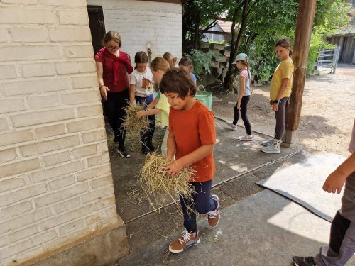 357084570_765303048725553_8566455936449300856_n