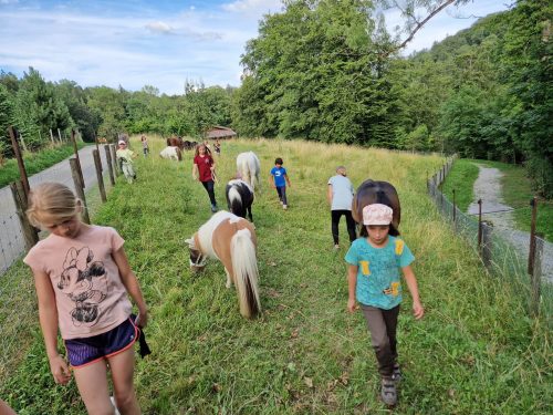 357489042_765301902059001_2596539718171670808_n