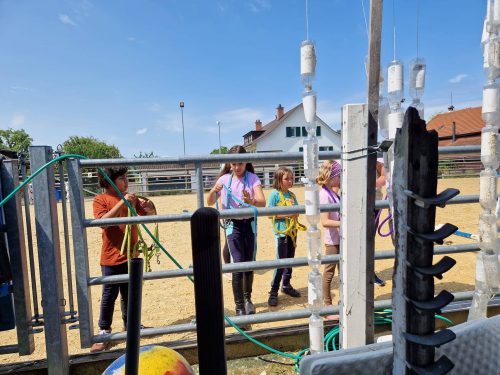 357531840_765303218725536_49340850093778970_n