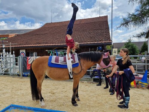 357745091_765301232059068_7545307092886469484_n