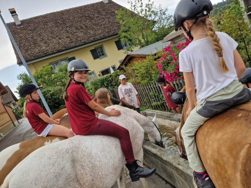 358078133_765302255392299_804236600019322517_n