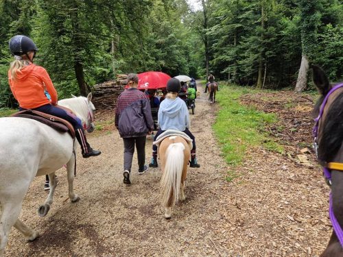 362277592_765303435392181_7246593421609767863_n