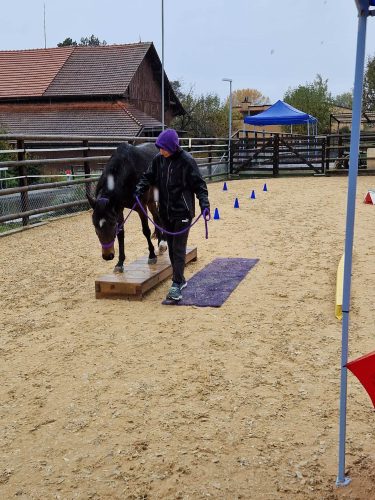 406657000_835755611680296_2204137419847984144_n